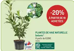 Botanic botanic Plantes de haie naturelle offre
