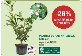 Botanic Plantes de haie naturelle