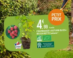 Botanic botanic Framboisier 'Autumn Bliss' Bio en Motte offre