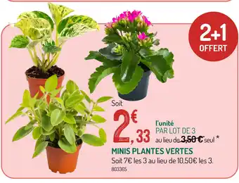 Botanic Minis Plantes Vertes offre