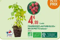 Botanic botanic Framboisier Autumn Bliss Bio en motte offre