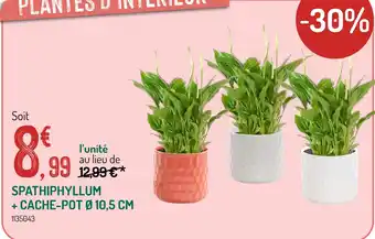 Botanic Spathiphyllum + Cache-pot Ø 10,5 cm offre