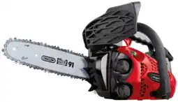 Brico Dépôt Scheppach - elagueuse thermique 25,4cm³ 25 cm offre
