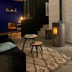 Brico Dépôt Canadian stove - poêle à granulés ellipse 9,05 kw offre