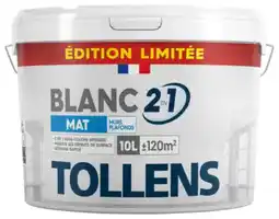 Brico Dépôt Tollens - peinture blanche 2 en 1 10 l offre