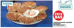 Hyper U Coquilles saint-jacques blanches ou coraillees offre