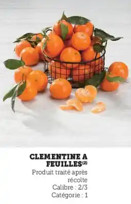 Hyper U Clementine a feuilles offre