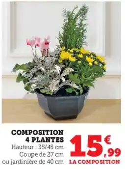Hyper U Composition 4 plantes offre