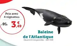 Hyper U Baleine de l'atlantique offre
