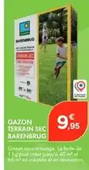 Point Vert Barenbrug - gazon sans arrosage offre