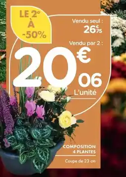 Point Vert Composicion assorted offre