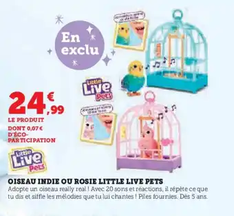 Super U Oiseau indie ou rosie little live pets offre