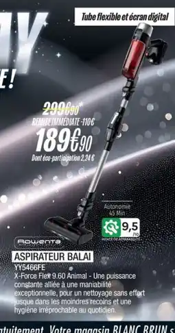 Blanc Brun ROWENTA Aspirateur balai YY5466FE offre