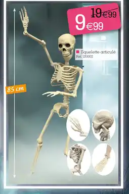 Kandy Squelette articulé offre