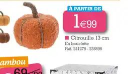 Kandy Citrouille offre