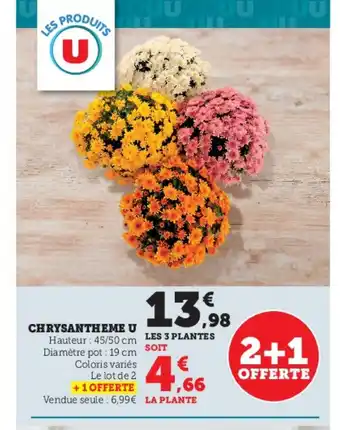 Chrysantheme u