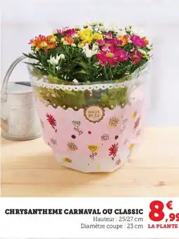 U Express Chrysantheme carnaval ou classic offre