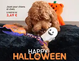 Tom&Co Jouet pour chiens offre