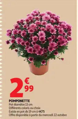 Auchan Supermarché Pomponette offre