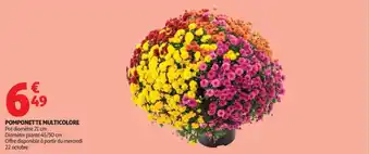 Auchan Supermarché Pomponette multicolore offre