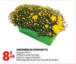 Auchan Supermarché Jardinière de pomponette offre
