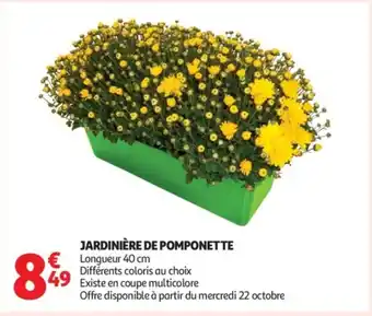 Auchan Supermarché Jardinière de pomponette offre