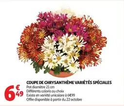 Auchan Supermarché Coupe de chrysanthème variétés spéciales offre