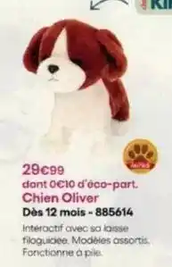 King Jouet Chien oliver dès 12 mois offre
