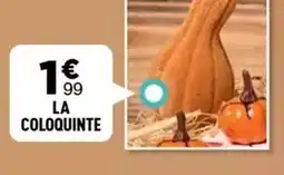 Zoé Confetti La coloquinte offre
