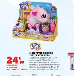 Hyper U LITTLE LIVE PETS Mon petit cochon offre