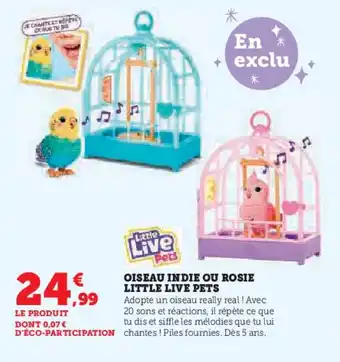 Hyper U LITTLE LIVE PETS Oiseau indie ou rosie offre
