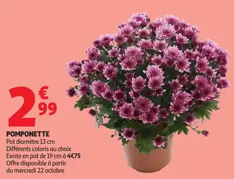 Auchan Pomponette offre