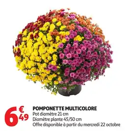 Auchan Pomponette multicolore offre