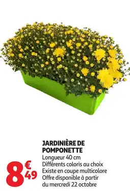 Auchan Jardinière de pomponette offre