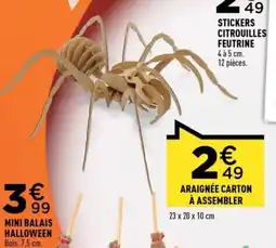 Centrakor Araignée carton à assembler offre