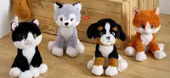 Auchan Chien ou chat assis offre