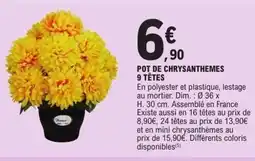 E.Leclerc Pot de chrysanthemes 9 têtes offre