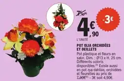 E.Leclerc Pot olia orchidées et oeillets offre