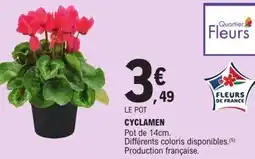 E.Leclerc Cyclamen offre