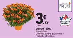 E.Leclerc Chrysanthème offre