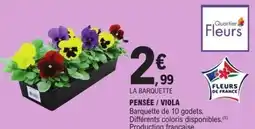 E.Leclerc Pensée viola offre