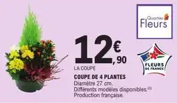 E.Leclerc Coupe de 4 plantes offre