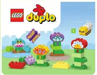 E.Leclerc Le jardin créatif et les fleurs offre