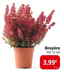 Colruyt Bruyère offre