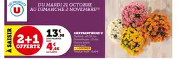 Super U U Chrysanthème offre