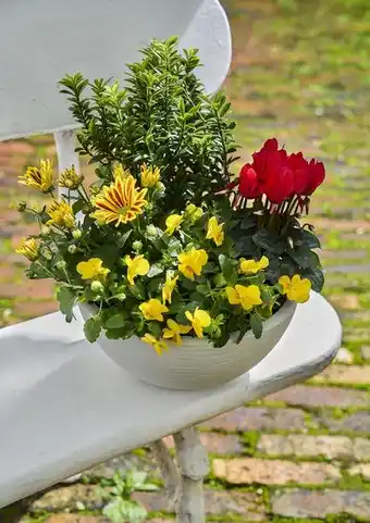 Composition de Toussaint