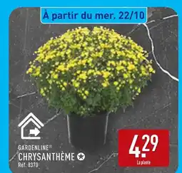 ALDI Gardenline Chrysanthème offre
