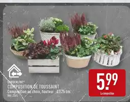 ALDI GARDENLINE Composition de Toussaint offre
