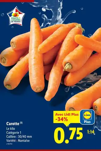 Lidl Carotte offre