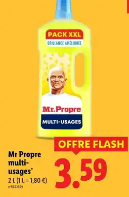 Lidl MR PROPRE Multi-usages offre